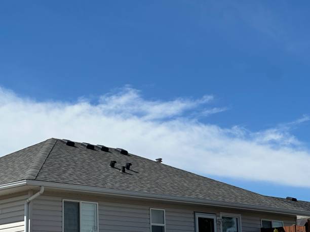 Best Roof Coating and Sealing  in Avon, CO